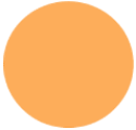 orange-bullet